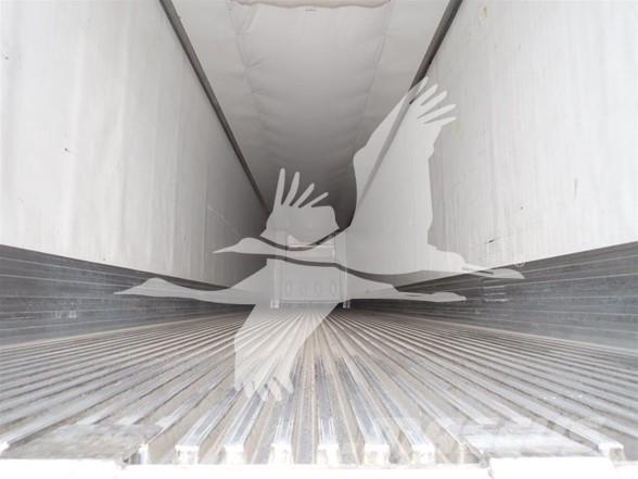 Utility 3000R Puspriekabės su izoterminiu kėbulu