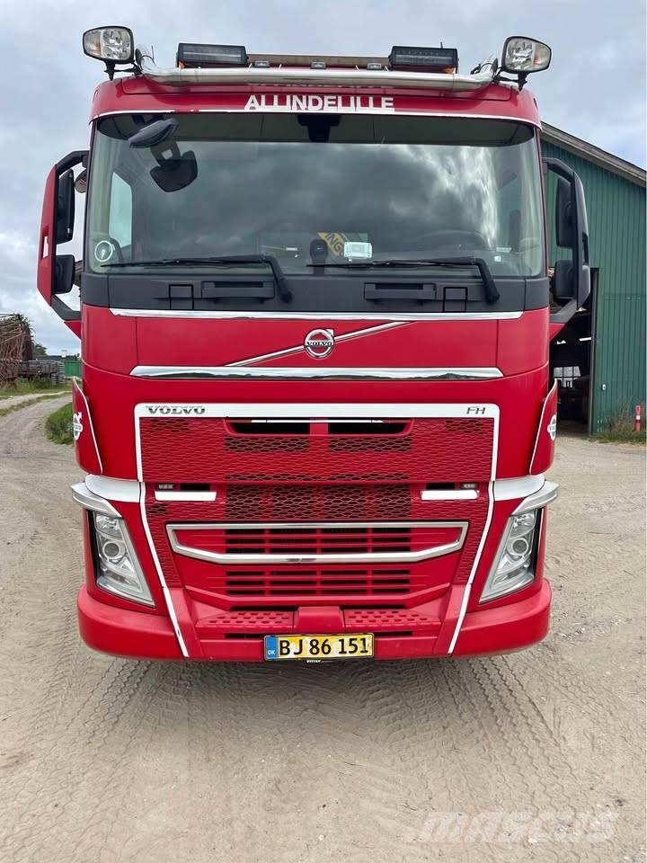 Volvo FH 500 Automobiliniai kranai