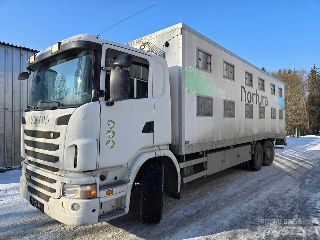 Scania G440 Gyvulių pervežimo technika