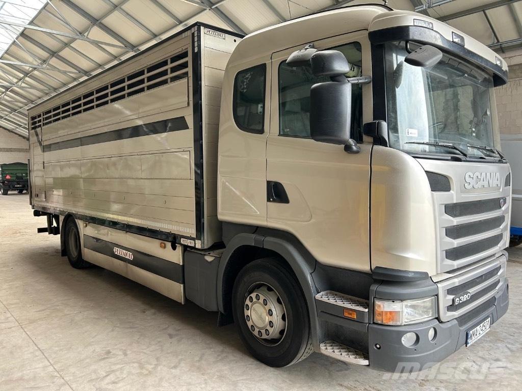 Scania G 320 Gyvulių pervežimo technika