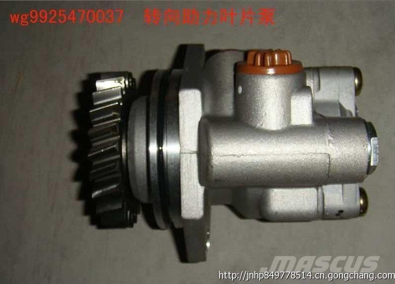  zhongqi WG9925470037 Varikliai