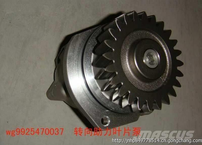  zhongqi WG9925470037 Varikliai