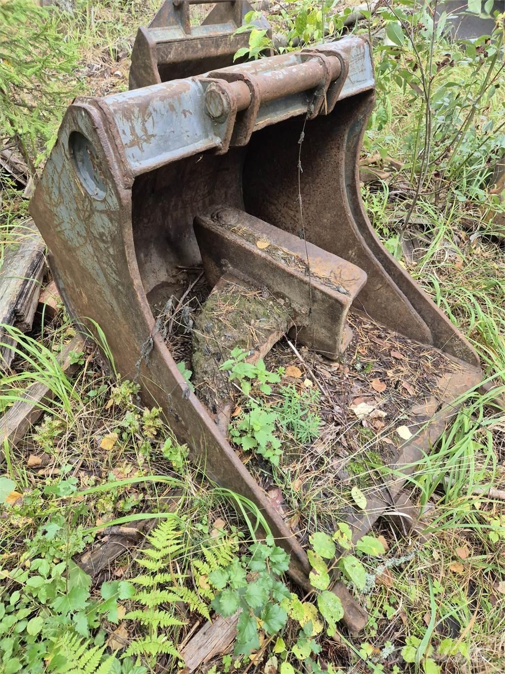 Lännen kynsikauha Kaušai