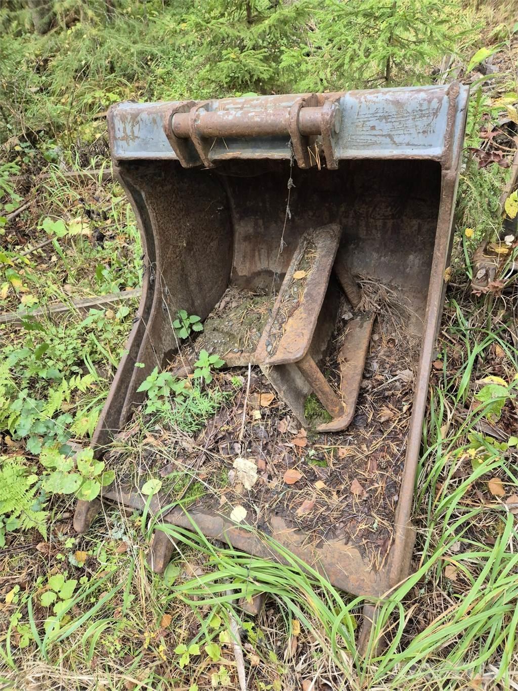 Lännen kynsikauha Kaušai