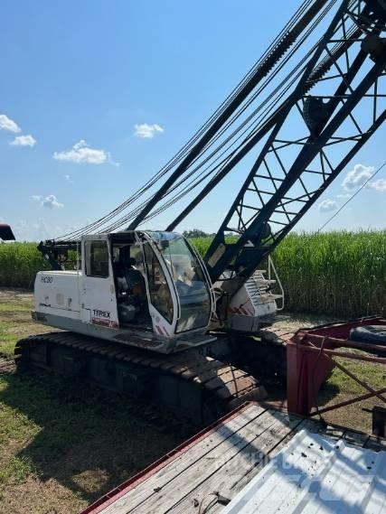 Terex HC 80 Vikšriniai kranai