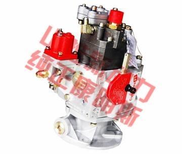 Cummins fuel pump Transportas - Kita