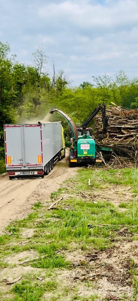 JENZ HEM 561Z Medžių skaldymo, pjovimo ir lupimo įrengimai