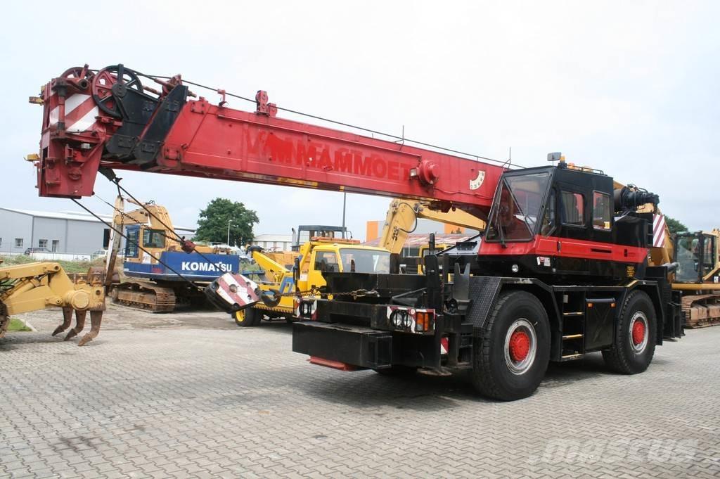 Tadano TR300EX NVT Visureigiai kranai