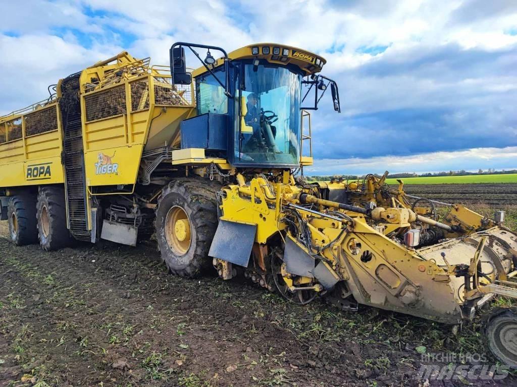 Ropa Tiger 4 Runkelių kombainai
