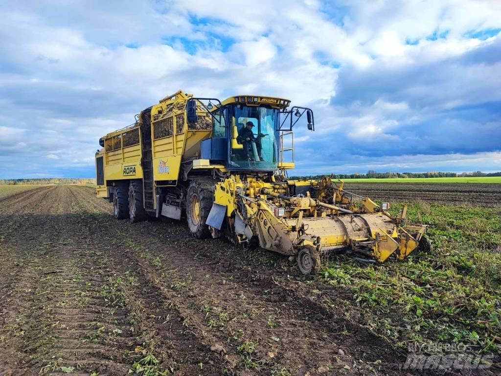 Ropa Tiger 4 Runkelių kombainai
