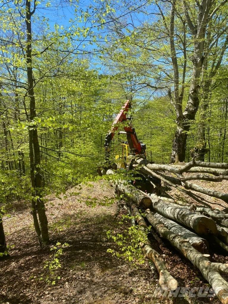 LKT 82 Miško traktoriai