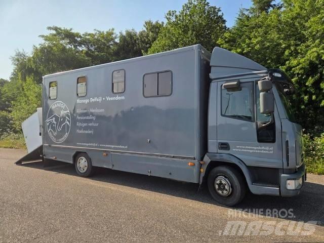 Iveco E 75 Gyvulių pervežimo technika