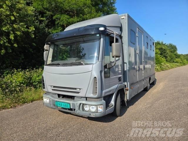 Iveco E 75 Gyvulių pervežimo technika