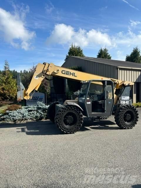 GEHL RS 6-42 Visureigiai krautuvai