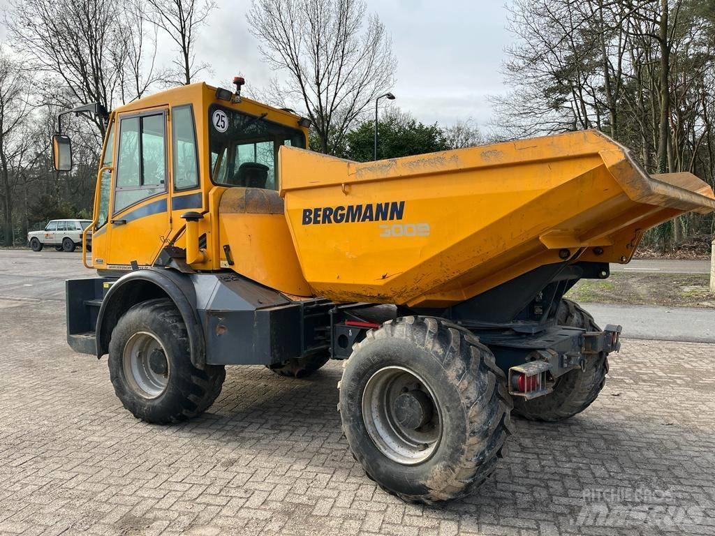 Bergmann 3009 R Karjeriniai savivarčiai