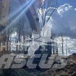 CAT 349EL Vikšriniai ekskavatoriai