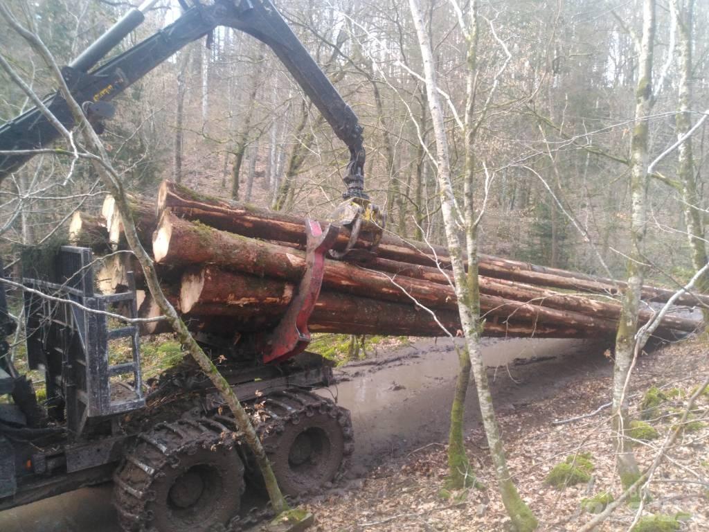  Noé 210/6r Skiedrovežiai