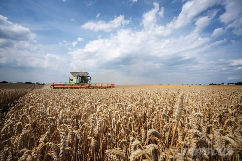 CLAAS Convio 930 Derliaus nuėmimo kombainų priedai
