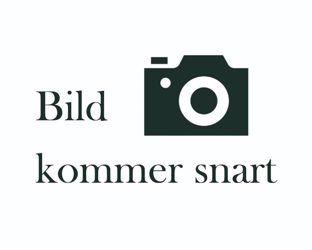 BT LPE250 Žemų aukščių keltuvai su platforma
