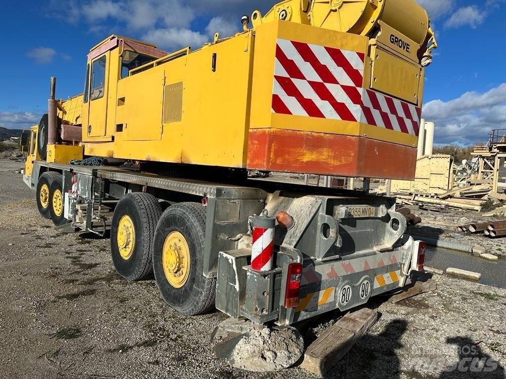 Grove TM 750 E Vikšriniai kranai
