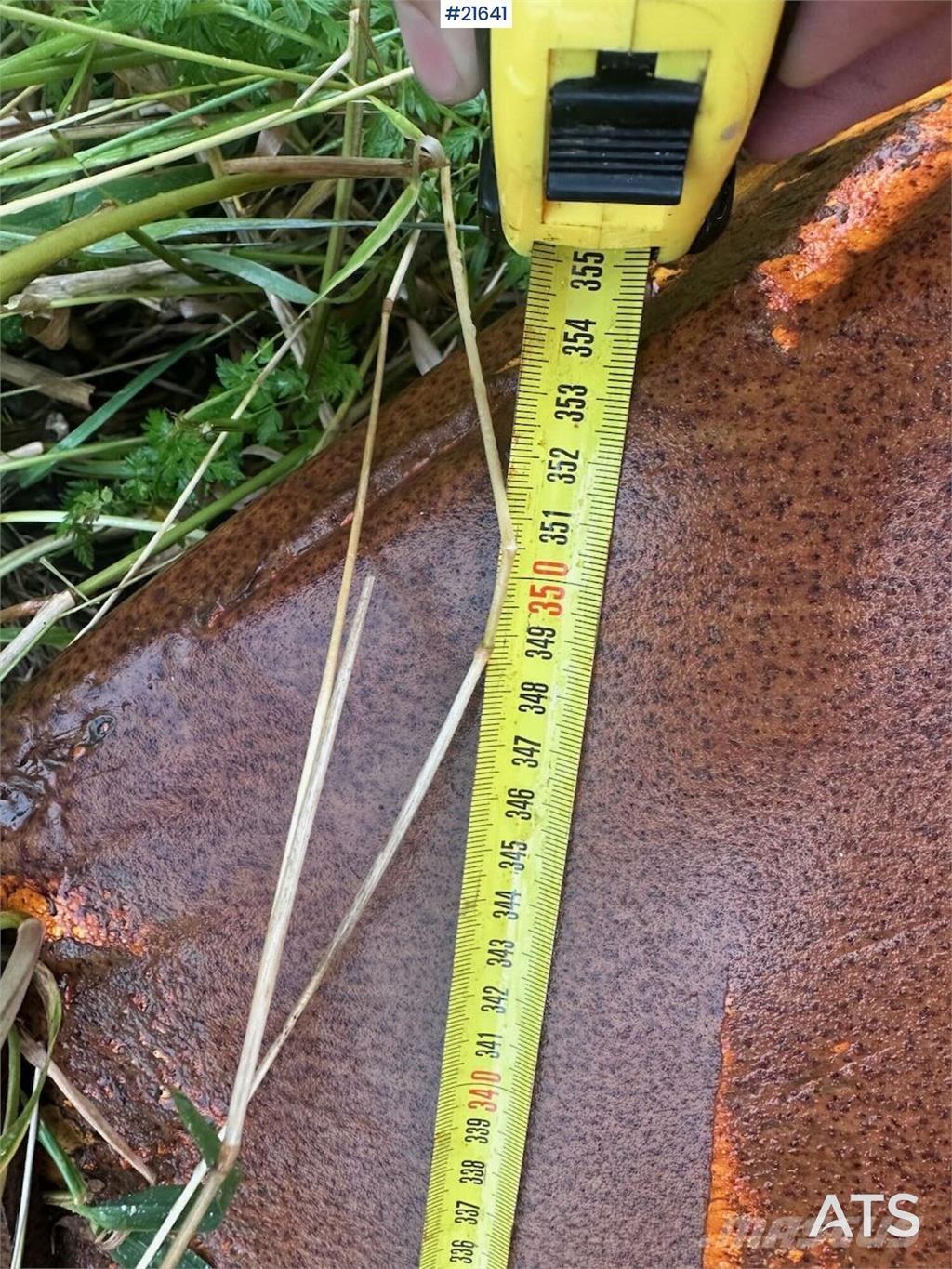  Gmill HDA 265 plow. Transportas - Kita