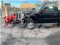 Ford F 350 Platformos/ Pakrovimas iš šono
