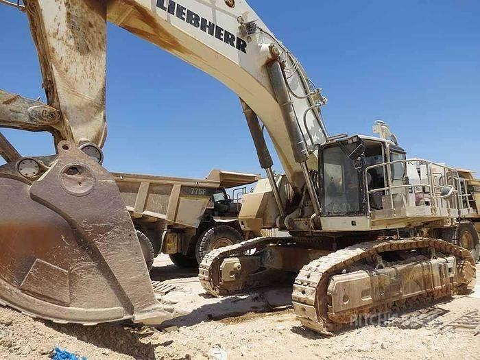 Liebherr R9150 Specialūs ekskavatoriai