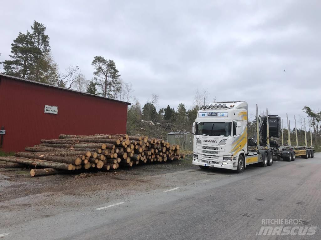 Scania R 650 Miškovežių vilkikai