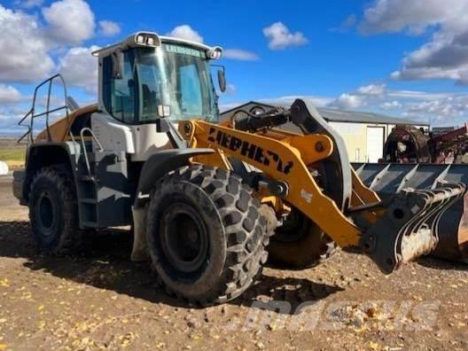 Liebherr L550 Statyba - Kita