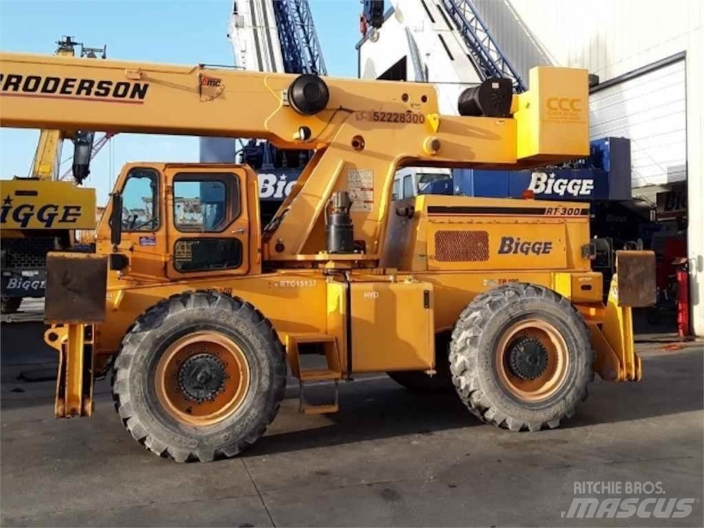 Broderson RT-300 Neapdoroto reljefo kranai