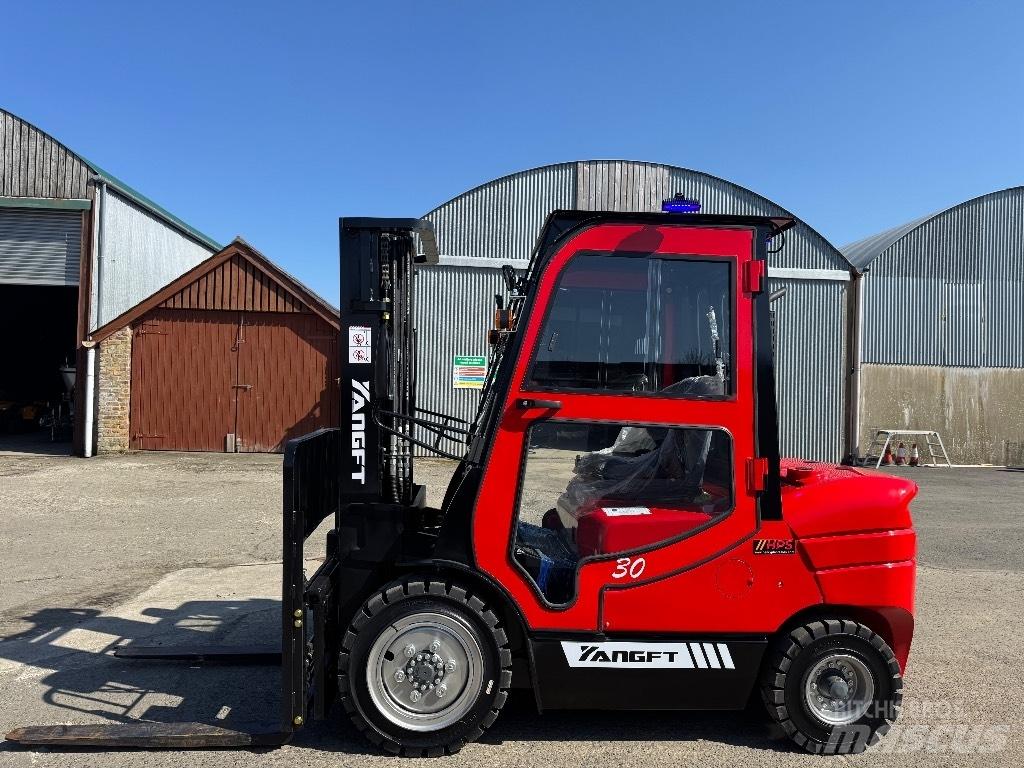 YangFT CPCD30 Dyzeliniai krautuvai