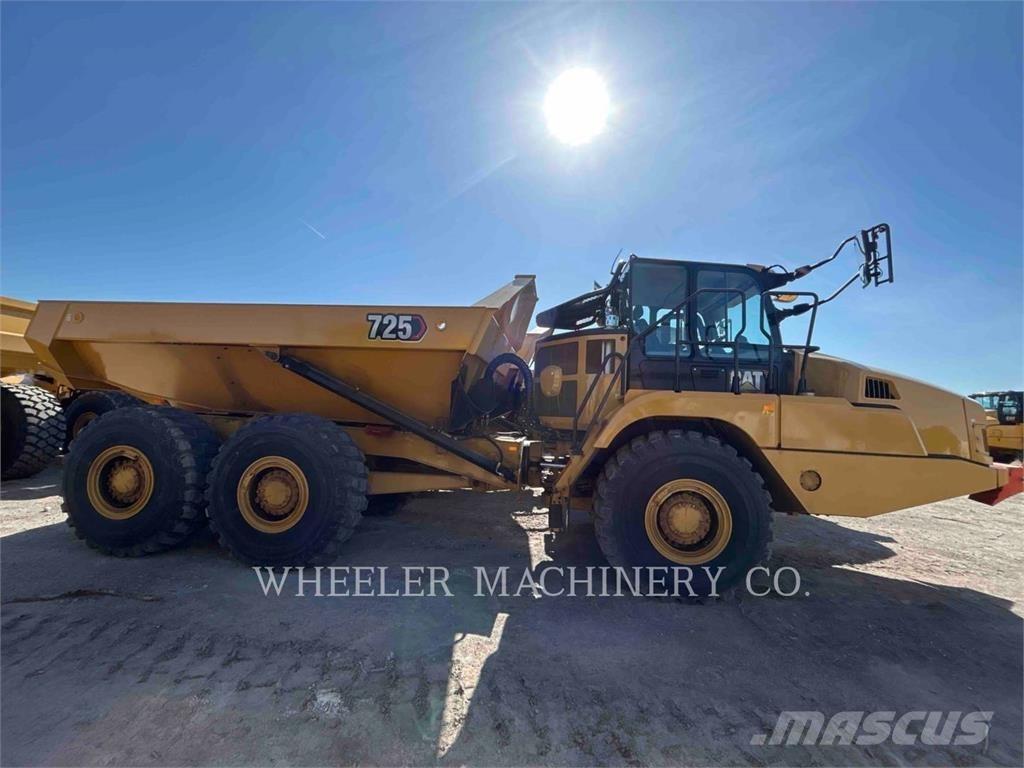 CAT 725 Karjeriniai savivarčiai