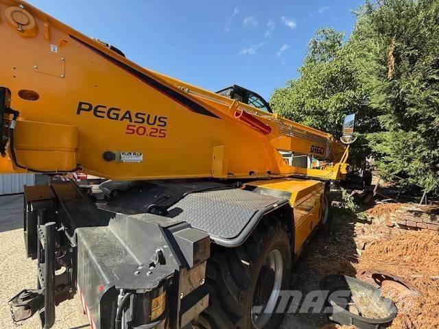 Dieci Pegasus 50.25 Teleskopiniai krautuvai