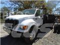 Ford F 650 Platformos/ Pakrovimas iš šono