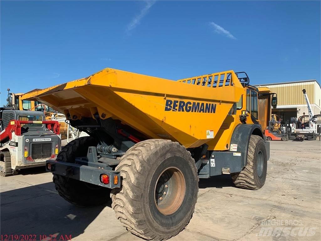 Bergmann C815S Vandens sunkvežimiai