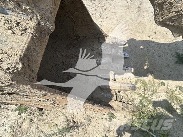 CASE CX160D Vikšriniai ekskavatoriai