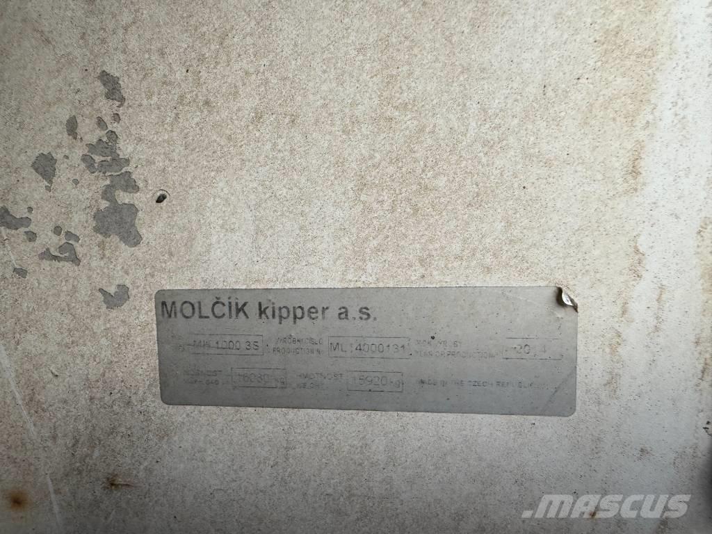 MAN TGS 35.480 Savivarčių priekabų vilkikai