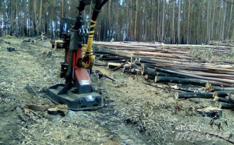  Vicort VAF 45 Medžių skaldymo, pjovimo ir lupimo įrengimai