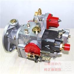 Cummins 4951451-20 Varikliai