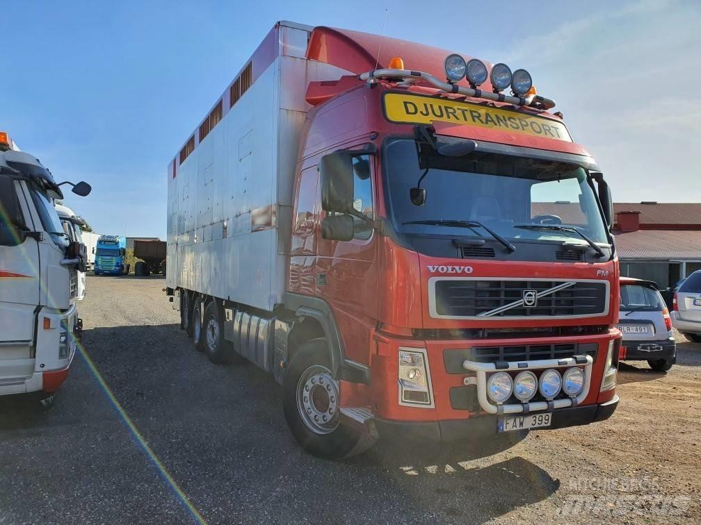Volvo FM12 Gyvulių pervežimo technika