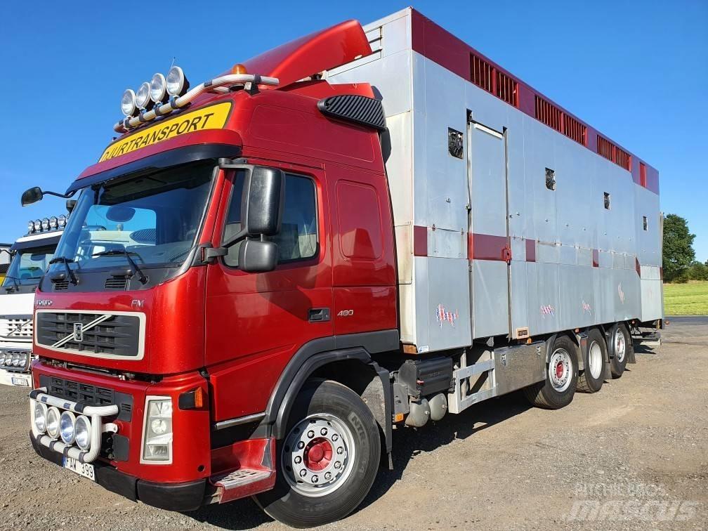 Volvo FM12 Gyvulių pervežimo technika