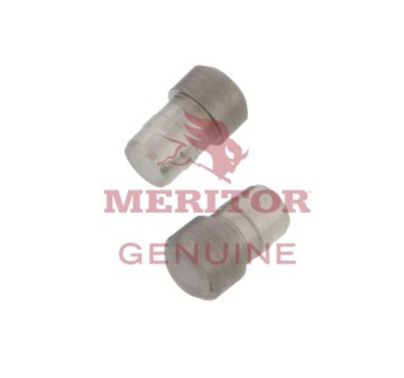 Meritor  Ašys
