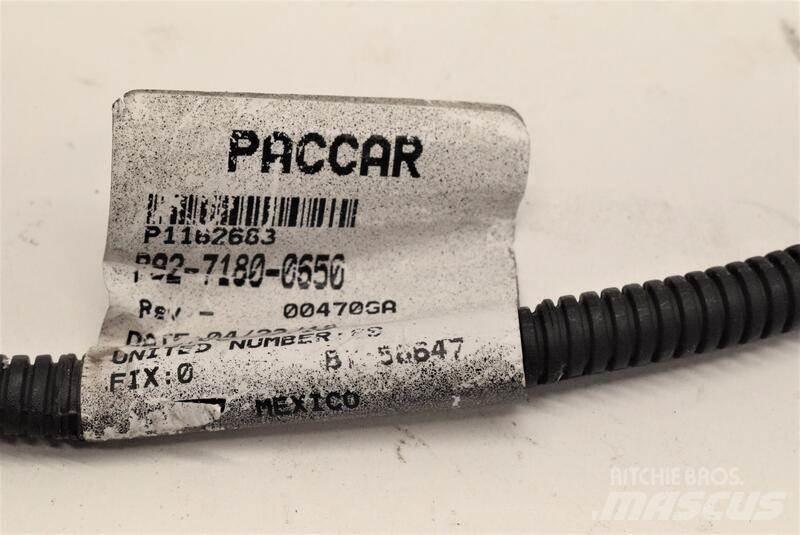Paccar  Transportas - Kita