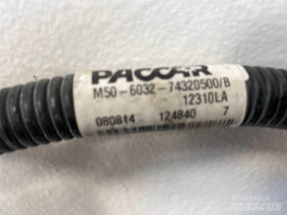Paccar  Transportas - Kita