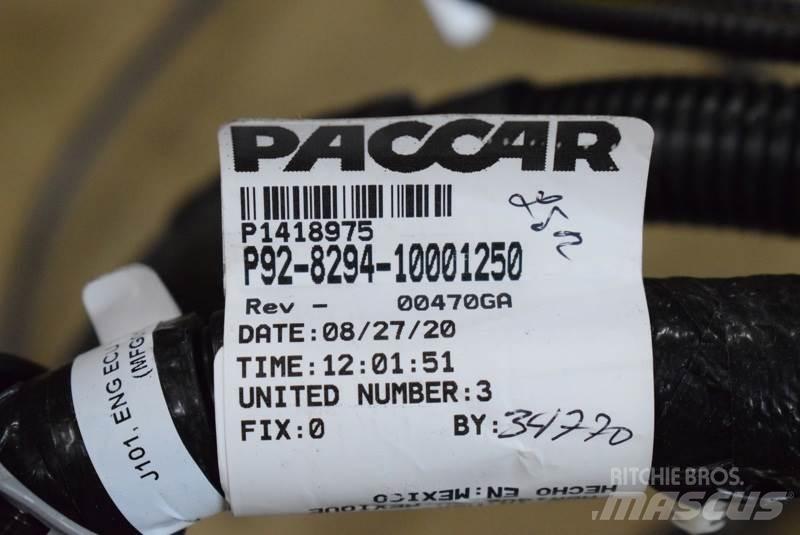 Paccar  Transportas - Kita