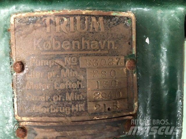  TRIUM QZKS Vandpumpe Vandens siurbliai