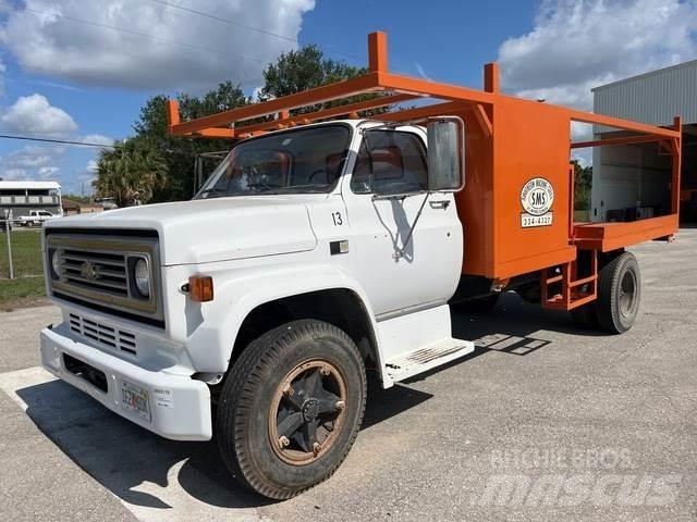 Chevrolet C7 Platformos/ Pakrovimas iš šono