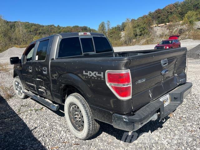 Ford F-150 Pikapai / Bortiniai sunkvežimiai