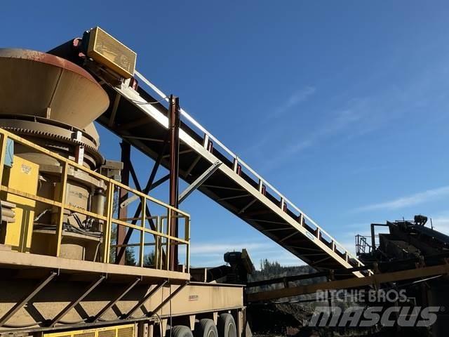 Reesco 36X60 Transporteriai