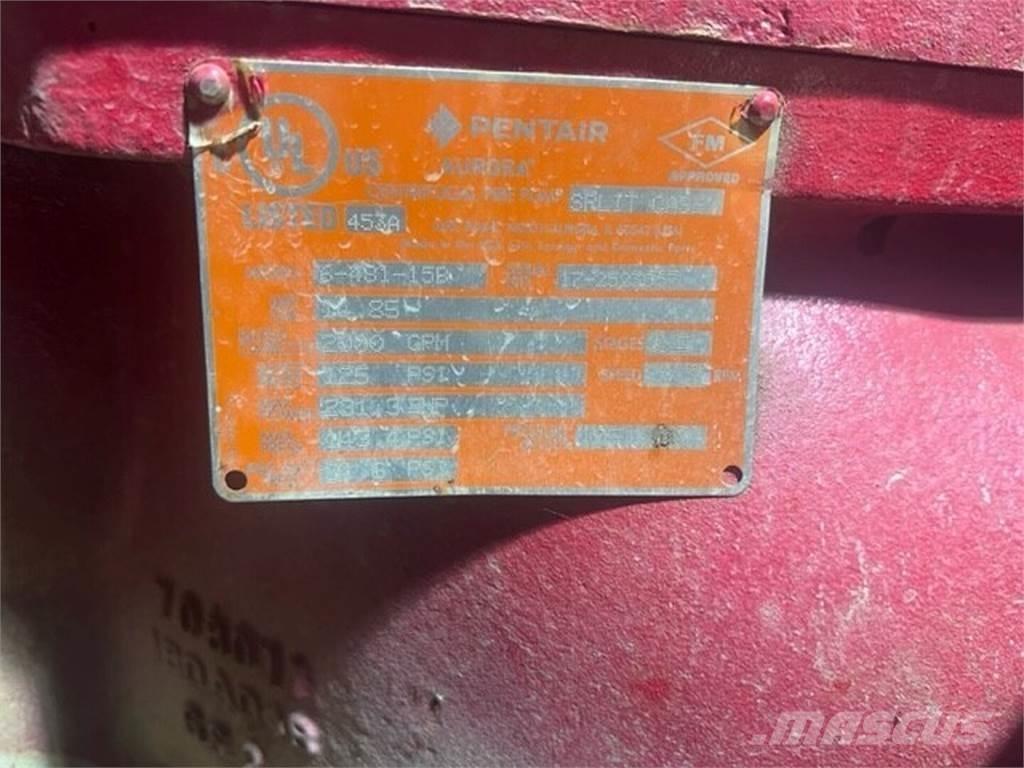  PENTAIR 6-481-15B Varikliai